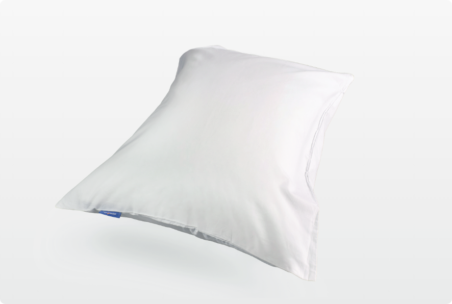Pillowcover (set van 2)