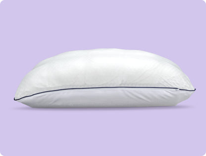 Complete Original Bundel